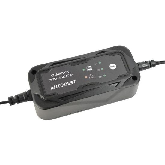 GOTOTOP Chargeur Automatique de Batterie pour Moto et Autres Petits véhicules 6 V 12 V
