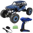 voiture télécommandée hot wheels stunt buggy