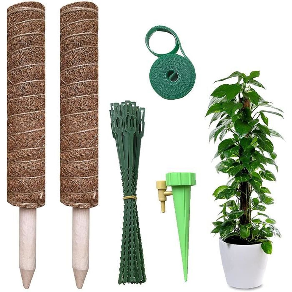 piliers de jardinage extensibles pour plantes grimpantes dintérieur et dextérieur respectueux de lenvironnement Piquet en fibre de coco de coco 40 cm/50 cm de rallonge plante grimpante