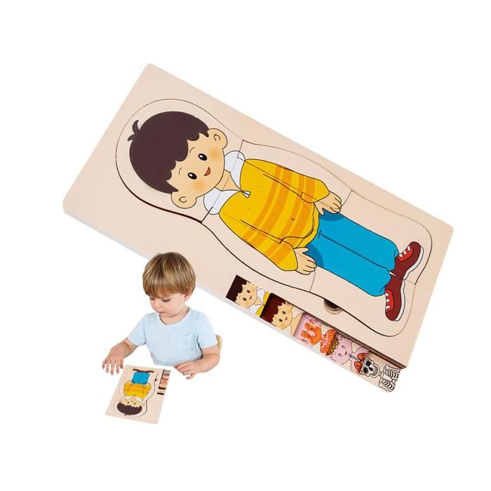 Anloximt Puzzle Corps Humain En Feutre – 30 Pièces + Panneau 57x82 Cm – Jeu éducatif Anatomique Pour Maternelle