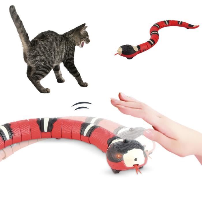 Jouets de Chat Automatique Électrique Jouets intelligents pour animaux de compagnie de charge USB pour chat