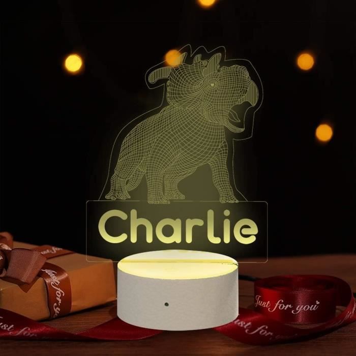 Lampe Dinosaure 3D LED – Veilleuse Multi-couleurs Avec Télécommande, USB, Noir