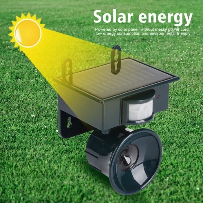 Chat Dansant à énergie Solaire – Jouet Décoratif Pour Voiture, Bureau Ou Maison, Tête Et Queue Qui Oscillent Sans Piles