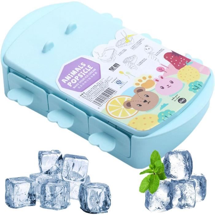 Moule à Glace En Silicone 6 Pièces - Formes Fruits Miniatures Sans BPA Pour Popsicles Maison