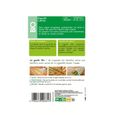 Roquette cultivée bio Vilmorin-1
