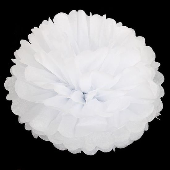 12 PCS Pompon Papier De Soie Boules Fleurs En Décorations