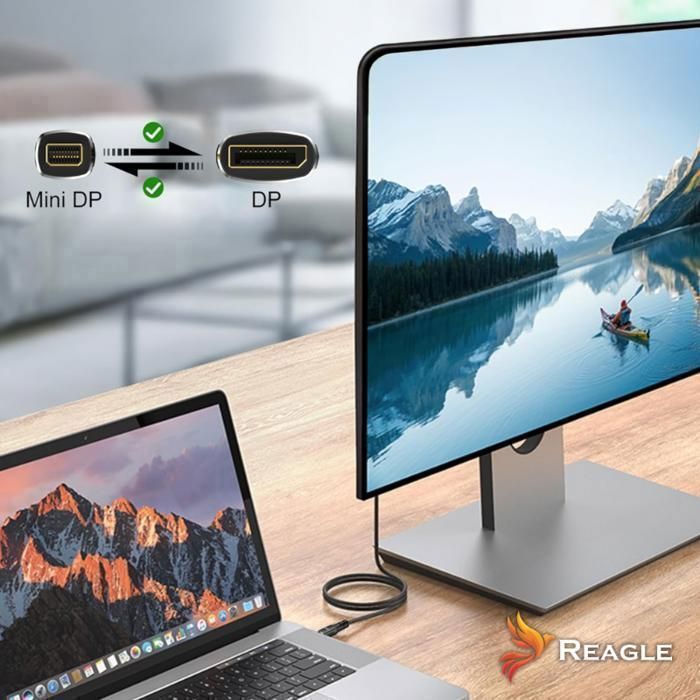 Reagle Thunderbolt Câble USB-C Vers Mini DisplayPort 4K 60Hz - 10 Gbps, Audio 7.1, Plug & Play, Connecteurs Or/Alu, Pour MacBook Et Plus