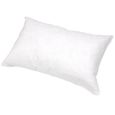 Oreiller rectangulaire en plume