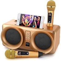 Machine de karaoke ALPOWL avec 2 microphones sans fil