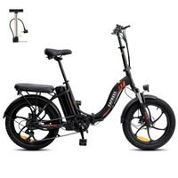 Vélo électrique FAFREES F20 Vitesse max 25 km/h 250W 36V 16Ah Vélo pliant Noir avec Cadeau Pompe