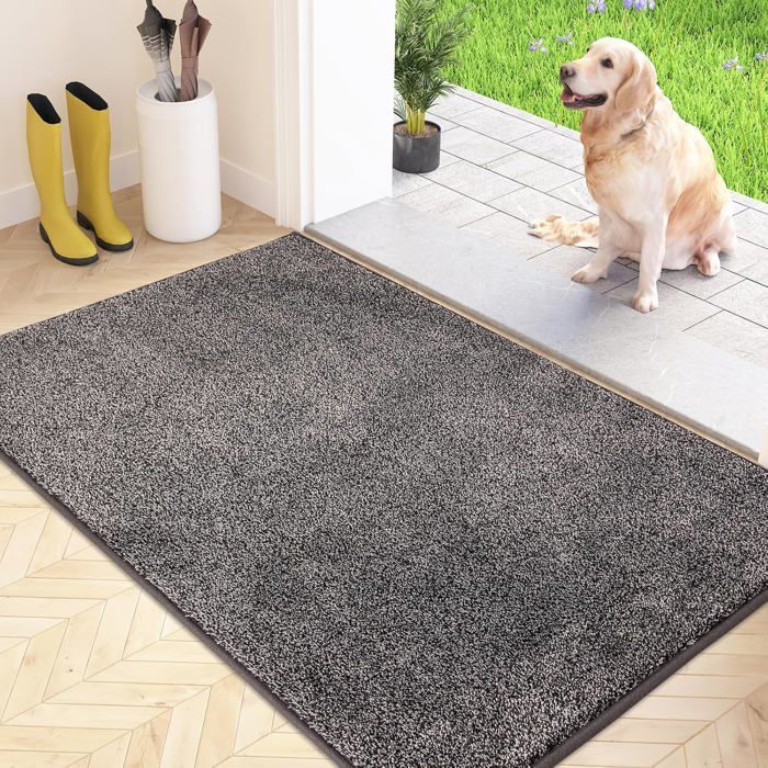 Paillasson attrape-poussière tapis de sol antidérapant lavable machine microfibres douces absorbantes pour chien entrée
