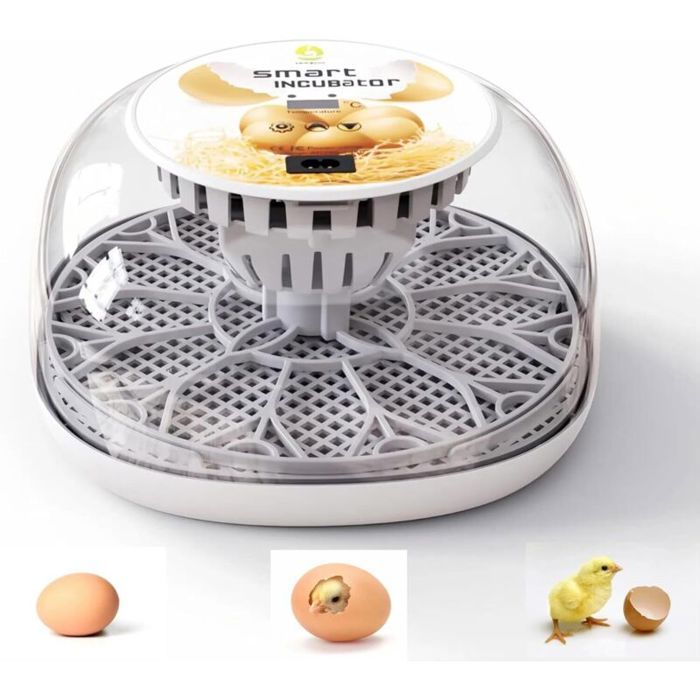 Comparer les prix de Incubateur automatique pour œufs - PZCC - Fonction de retournement - Taux déclosion élevé