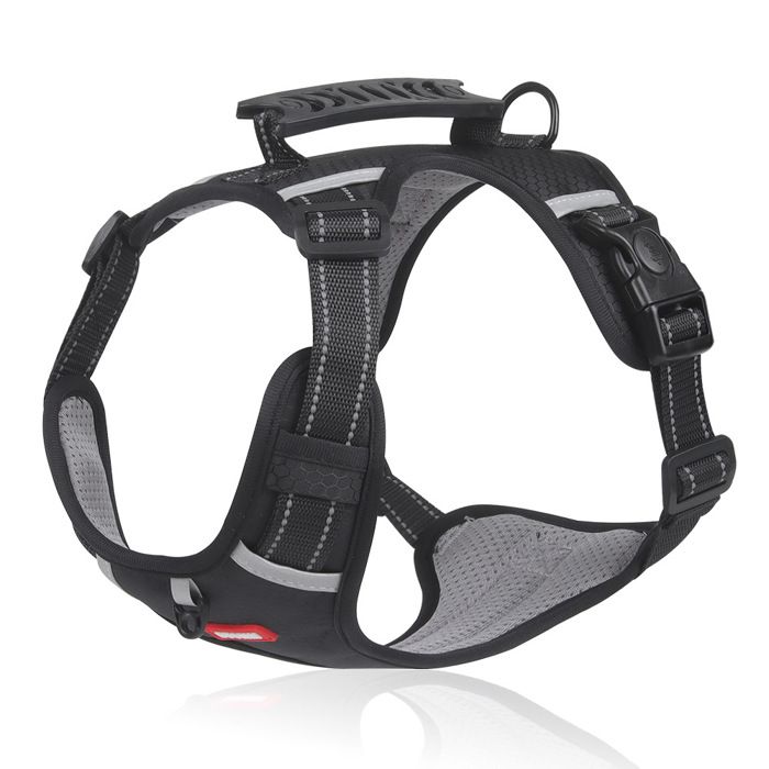 Laisse de chien tactique - Phoesky - Réfléchissant - Pour petits animaux - Fibre et nylon - Rivet - Boucle - Noir