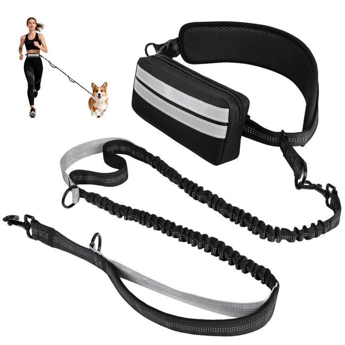 Ceinture canicross main libre chien laisse élastique sac banane détachable réfléchissante Ceinture chien Cuneary