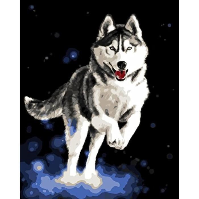 Kit Peinture Par Numéro Motif Husky - Toile 40,6 X 50,8 Cm (sans Cadre) - Inclus Pinceaux Et Peintures Acryliques