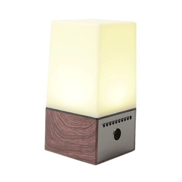 Veilleuse Lampe haut-parleur caméra espion wifi HD 1080P microphone - Marron