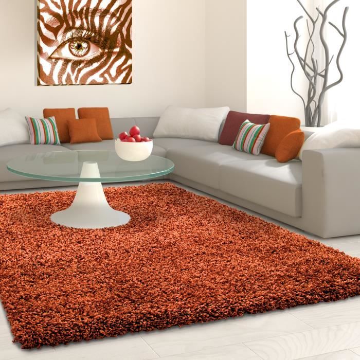 Fibres Longues Hirsute Salon Shaggy Tapis De Differentes Tailles Et Couleurs Terre Cuite 160x160 Cm Ronde Achat Vente Tapis Cdiscount