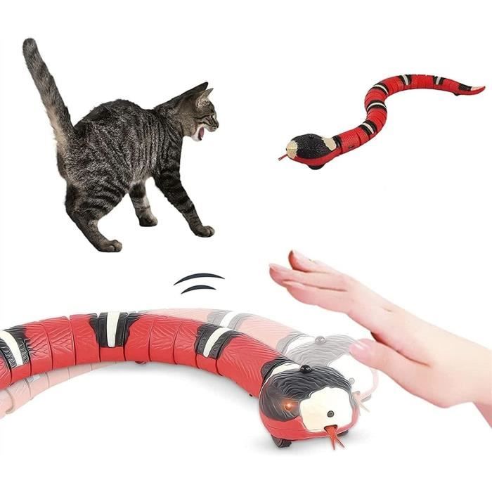 Jouet Pour Chats Électrique Jouets Pour Chats À Suspendre Jouets De Innovants Volants Pour Chats De Compagnie Pour Jouer Exercice