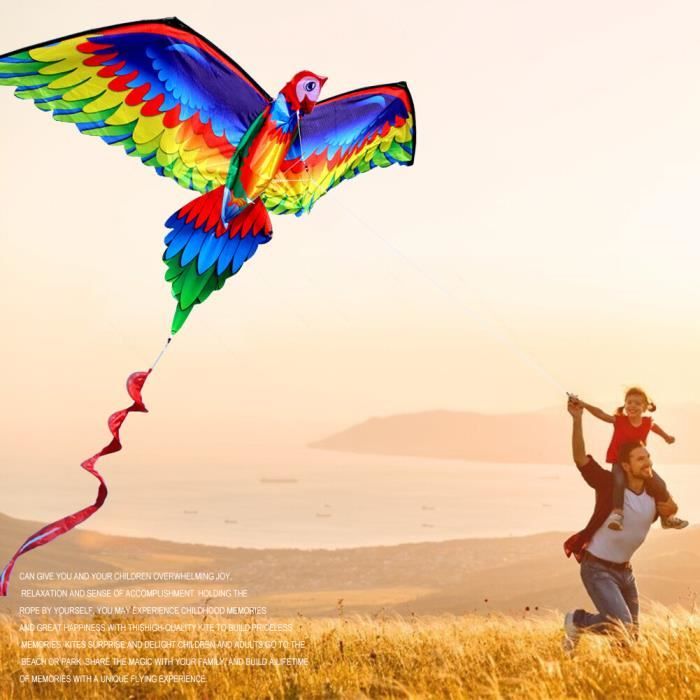 Cerf-Volant Perroquet Pour Enfants Et Adultes, Cerf-Volant Easy Flyer
