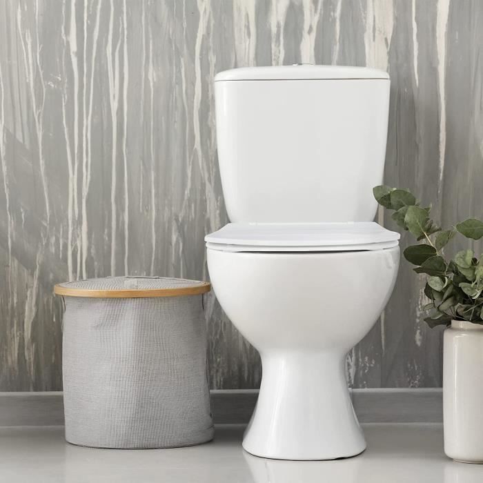 Abattant wc amovible sale