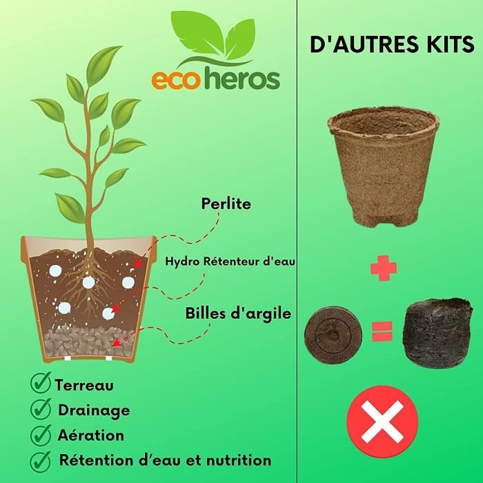 Kit Bonsaï Paulownia Prêt À Pousser Kit De Plantation Bonsai Graine