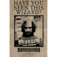 Un maxi poster 61 x 91,5 cm de Harry Potter avec Wanted Sirius Black. 