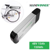 Batterie de support arrière HA074-03 48V 15Ah 720Wh pour vélo électrique E-bike HANIWINNER