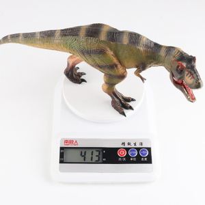 FIGURINE - PERSONNAGE Figurines d'action de dinosaure Vrannosaurus Rex p