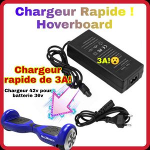 ACCESSOIRES HOVERBOARD Chargeur hoverboard RAPIDE 36v - chargeur 42v3A pour batterie 36v - [NON COMPATIBLE AVEC TROTTINETTES ELECTRIQUE]