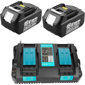 BATTERIE MACHINE OUTIL Packs Batterie Pour Outils Sans Fil - Paillyue® 2x