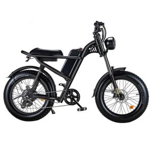 VÉLO ASSISTANCE ÉLEC Vélo électrique - Z8 - 20*4,0 pouces - 48V 500W mo
