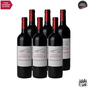 VIN ROUGE Château Gessan Rouge 2016 - Lot de 6x75cl - Vin Ro