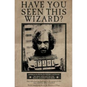 AFFICHE - POSTER Un maxi poster 61 x 91,5 cm de Harry Potter avec W