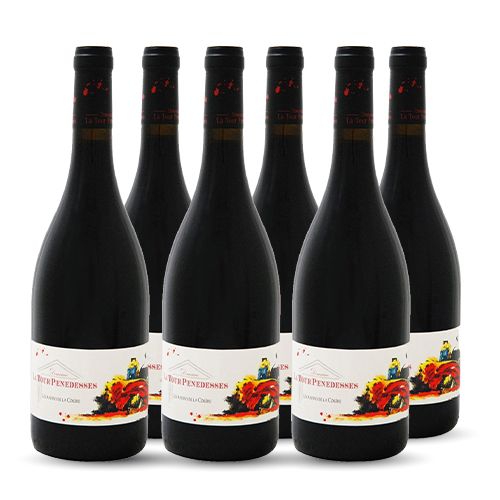 Domaine La Tour Penedesses LES RAISINS DE LA COLERE Faugères Rouge 2020 6x75cl