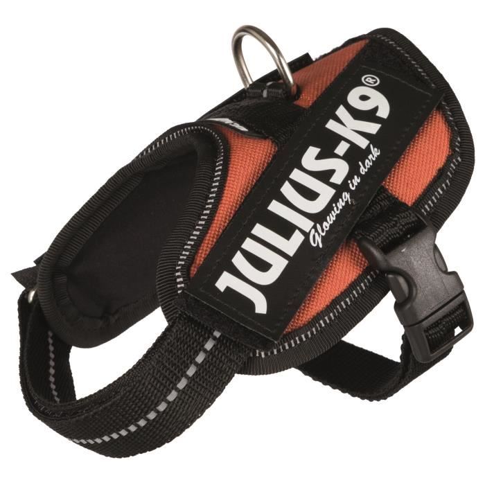 JULIUS-K9 Harnais Power IDC - Baby 2 - XS-S : 33-45 cm-18 mm - Orange cuivré - Pour chien