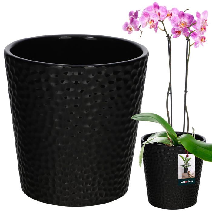 Soendgen Keramik Pot pour orchidées Merina