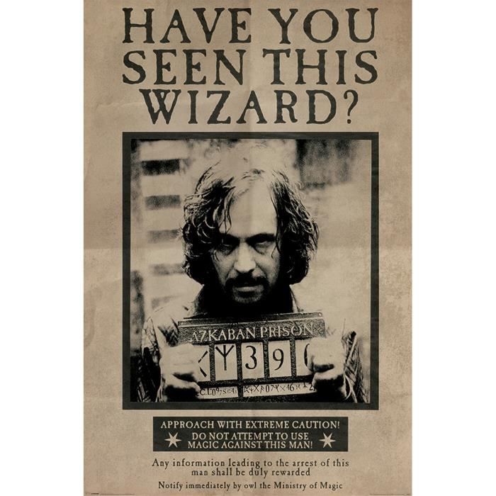 Harry Potter - Maxi Poster Ufficiale Da Collezione 'Harry Potter And The Deathly Hallows' - Dimensioni 61 X 91,5 Cm - Per Camera E Regalo Fan