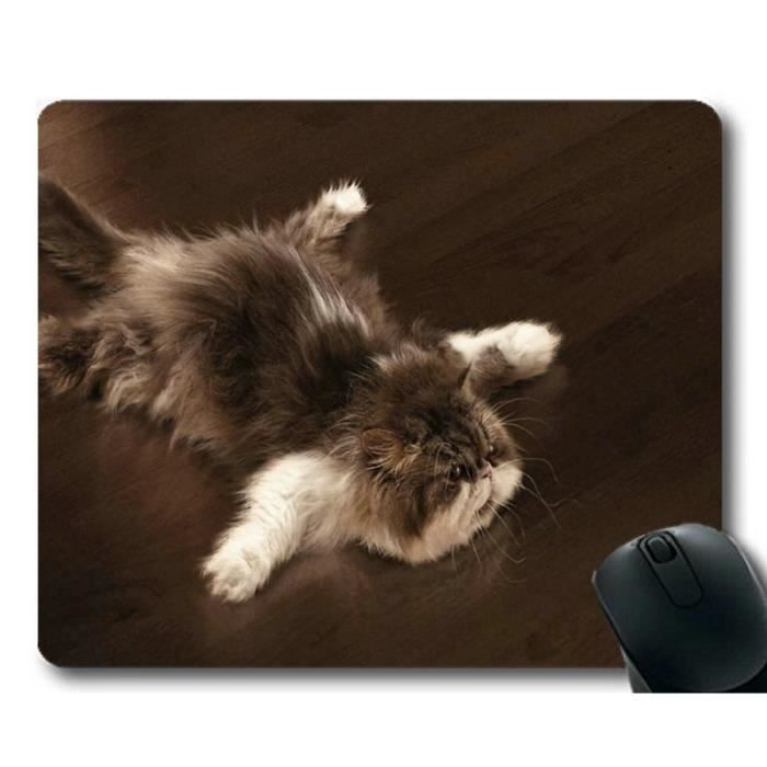 Gratuit Images Tapis De Souris De Jeu Tapis De Souris Chat Moelleux Allonge actualisé par