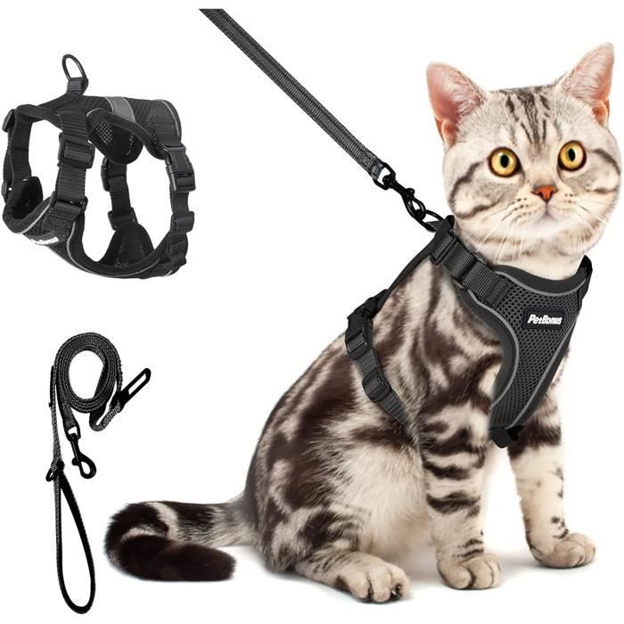Harnais chat anti-fuite - Sécurité et confort | SecuPet
