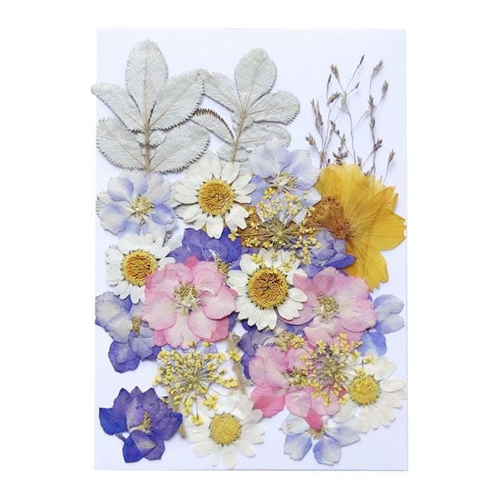 Kit bijoux floral papillon, fleurs séchées rose