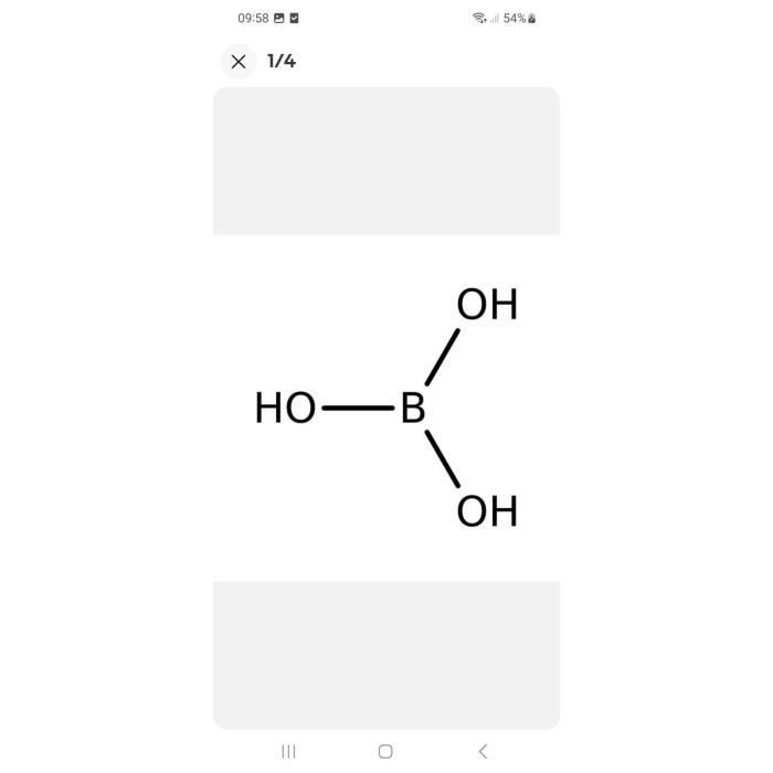 Acide Borique - GENERIQUE - 1 KG - Insecticide Cafards Fourmis Jardin -  Antifongique et Antiseptique Naturel - Cdiscount Bricolage