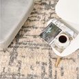 Tapis à Poils Longs Carpeto Descente de Lit - Creme-Gris - Motif Abstrait - Tapis Shaggy Doux Modernes -60x90cm[254]-2