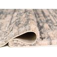 Tapis à Poils Longs Carpeto Descente de Lit - Creme-Gris - Motif Abstrait - Tapis Shaggy Doux Modernes -60x90cm[254]-3