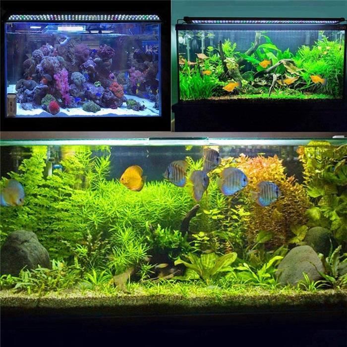 Lampe Aquarium Rampe LED pour Aquarium Fish Tank LED Éclairage LED Lumière pour  Aquarium Aquarium LED Lumières LED Aquarium Lu[779] - Cdiscount