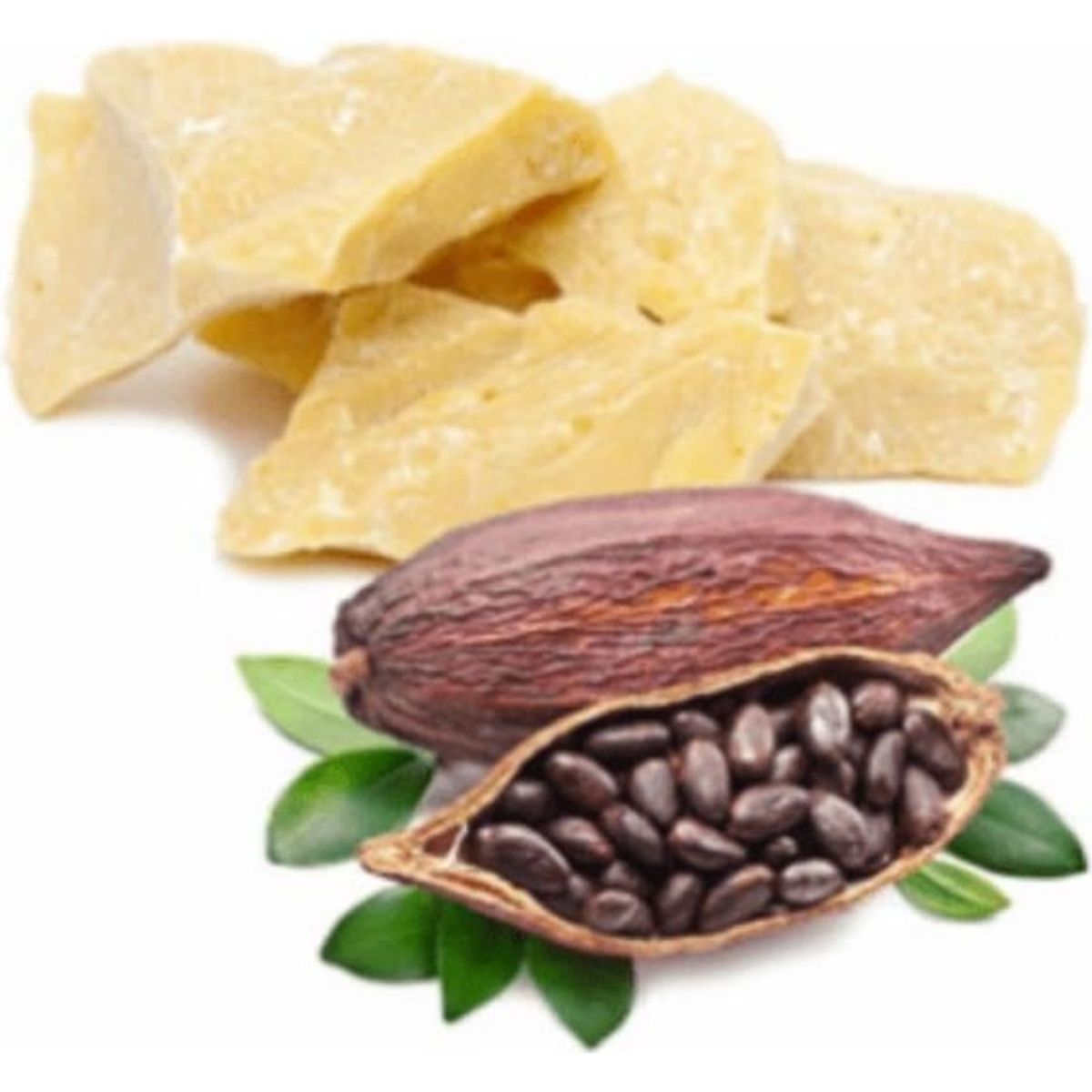 Beurre de Cacao - Beurre de cacao brut - Beurre vegetal de cacao ...