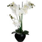 Orchidée Artificielle - SILUMEN - H53cm - Vase en Céramique Noir et Blanc