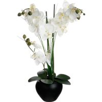 Orchidée Artificielle - SILUMEN - avec Vase en Céramique H53cm - Noir et Blanc