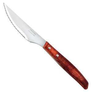 Couteau à steak The Origine monobloc lame 11cm lisse ARCOS - Culinarion