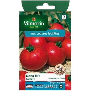 GRAINE - SEMENCE Sachet graines Tomate Dona HF1 [188]