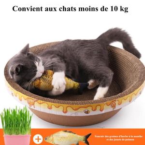 Griffoir Chat Carton Rond Cdiscount